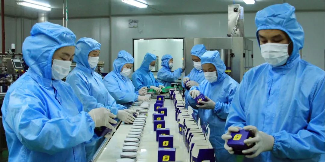 塔城產業謀新篇 三大規劃繪藍圖