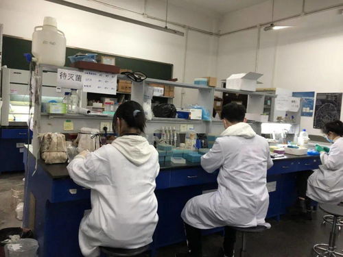 感受生物科技，創(chuàng)造無限未來——生物化工產(chǎn)品技術研發(fā)的社會實踐體會