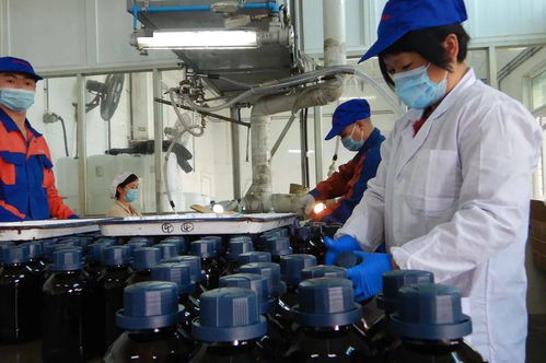 感恩前行 光華科技，不止于中國精細(xì)化工50強(qiáng)，深耕生物化工產(chǎn)品技術(shù)研發(fā)