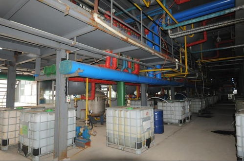 章丘龍翔樹莓生物科技 引領(lǐng)生物化工產(chǎn)品技術(shù)研發(fā)新篇章